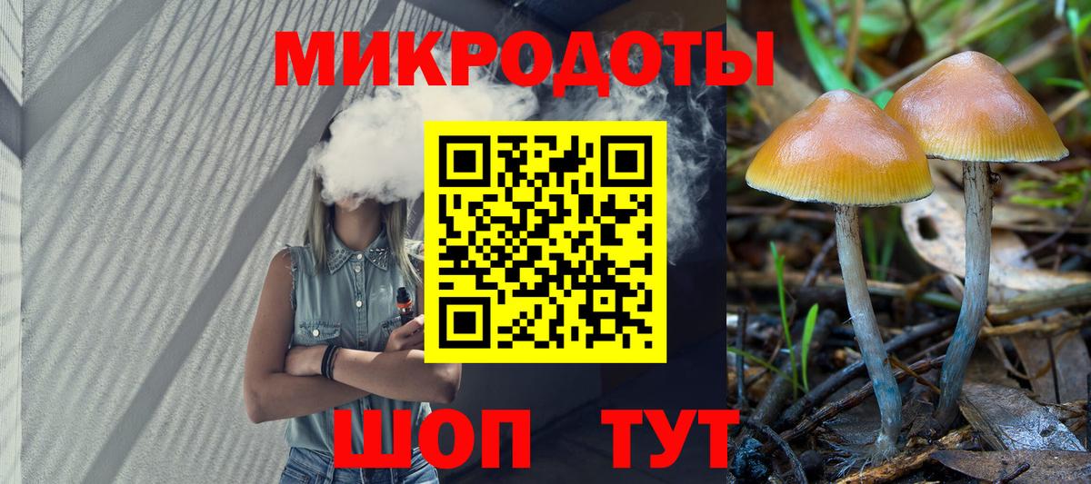 Кушва  Псилоцибиновые грибы Cubensis  Вход с VPN 