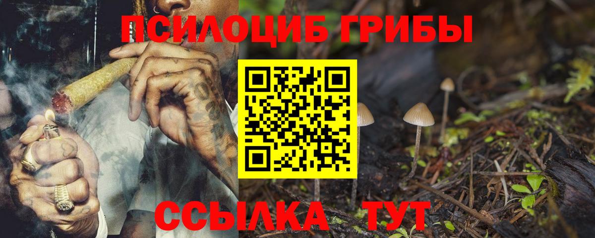 Галлюциногенные грибы Magic Shrooms Кушва