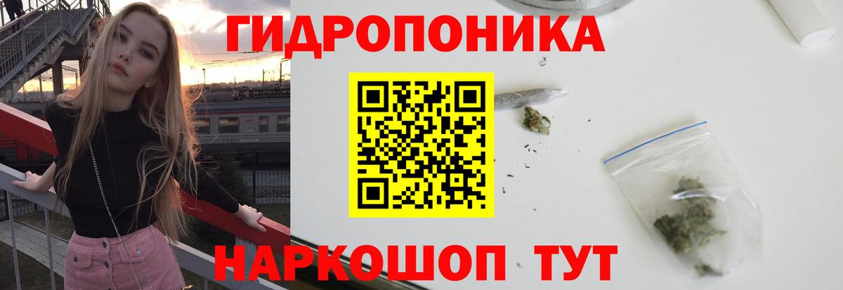 Шишки марихуана сатива  Вход с VPN  Бошки марихуана OG Kush  Кушва  Бошки марихуана VHQ 